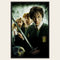 Harry Potter And The Chamber Of Secrets Film Poster