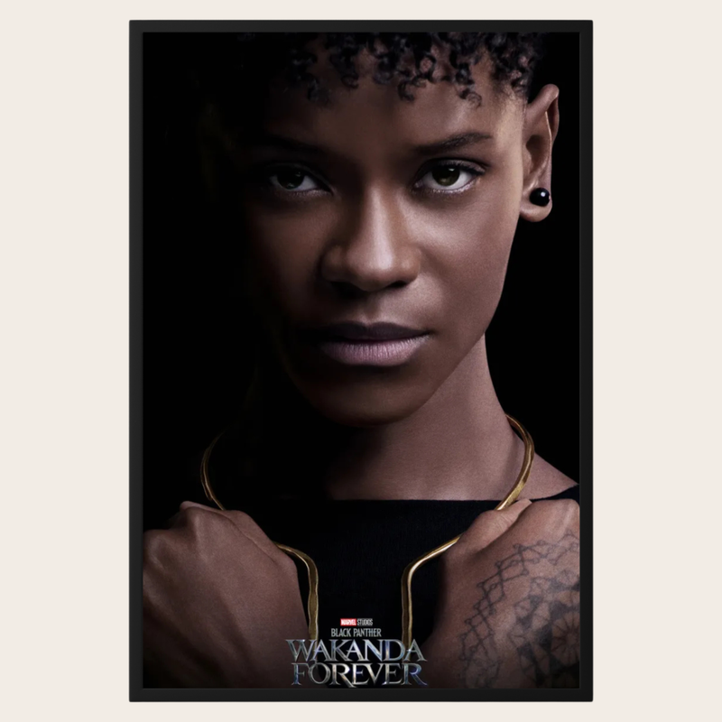 Black Panther 2 Character Poster