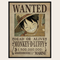 One Piece Wanted Poster