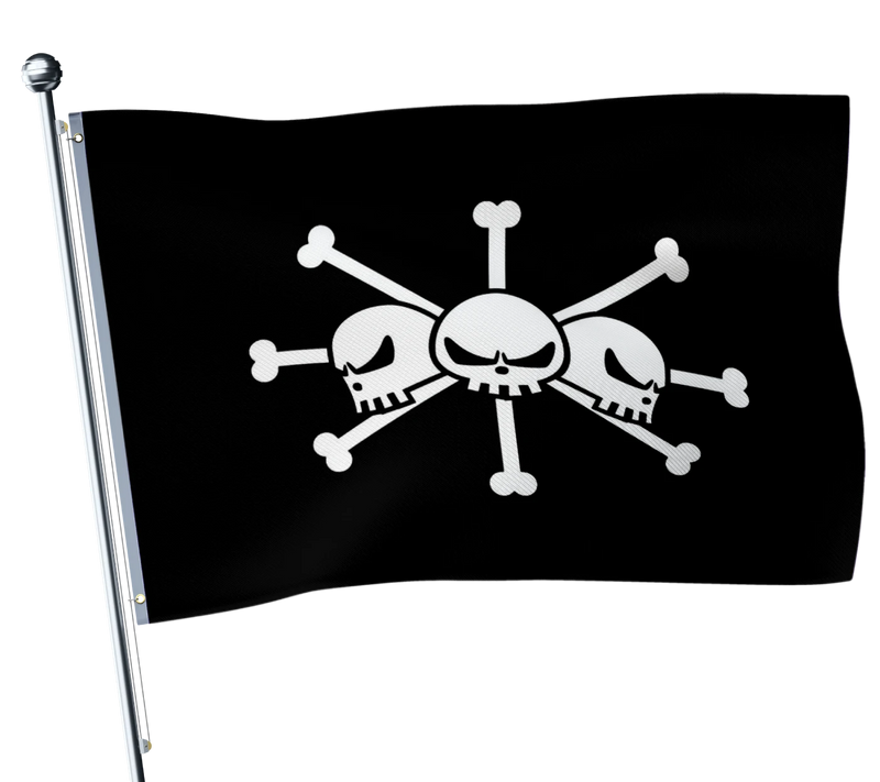 Drapeau Barbe Noire One Piece