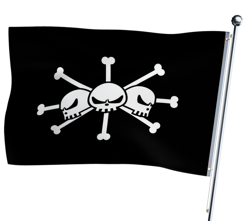 Drapeau Barbe Noire One Piece