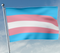 Drapeau Transphobie-Homarena