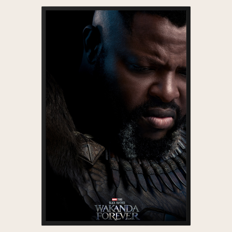 Black Panther Wakanda Forever Character Poster