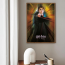 Poster Harry Potter XXL